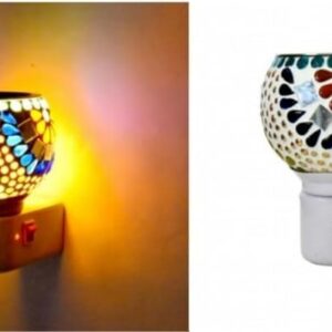 Electric kapoor dani with light