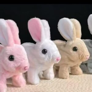 Cartoon animal Rabbit