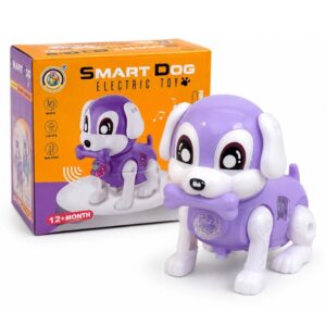 Smart dog musical toy