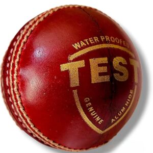 Test Leather Ball