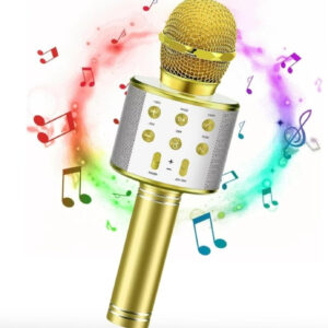 Seraphic Karaoke Mic - Wireless & Multifunctional 2 in 1 Microphone with Audio Recording Microphone
