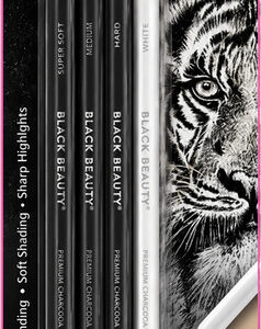 Black beauty premium charcoal pencils set