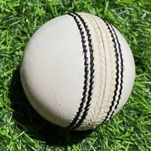 Dixon Leather ball white